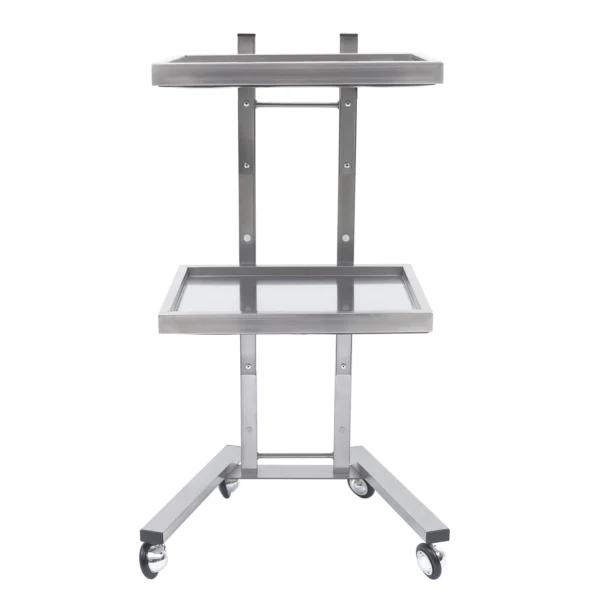 Salon Trolley Beauty Tray Carts Storage Rack Hairdresser Organizer Barber Shop Tool With Wheels Gold/Silver Stainless Steel - Image 4