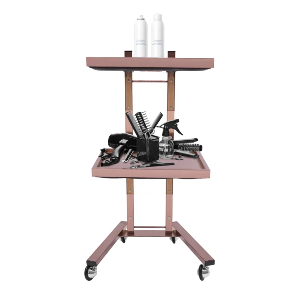 2-tier Salon Trolley, Hairdressing Trolley,Salon Rolling Cart with Trays and Wheels（Rose Gold）） - Image 5