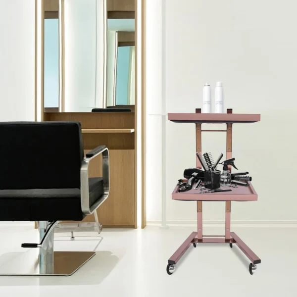 2-tier Salon Trolley, Hairdressing Trolley,Salon Rolling Cart with Trays and Wheels（Rose Gold）） - Image 3