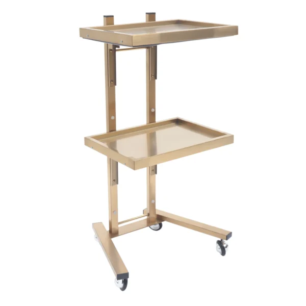 Salon Trolley Beauty Tray Carts Storage Rack Hairdresser Organizer Barber Shop Tool With Wheels Gold/Silver Stainless Steel - Image 2